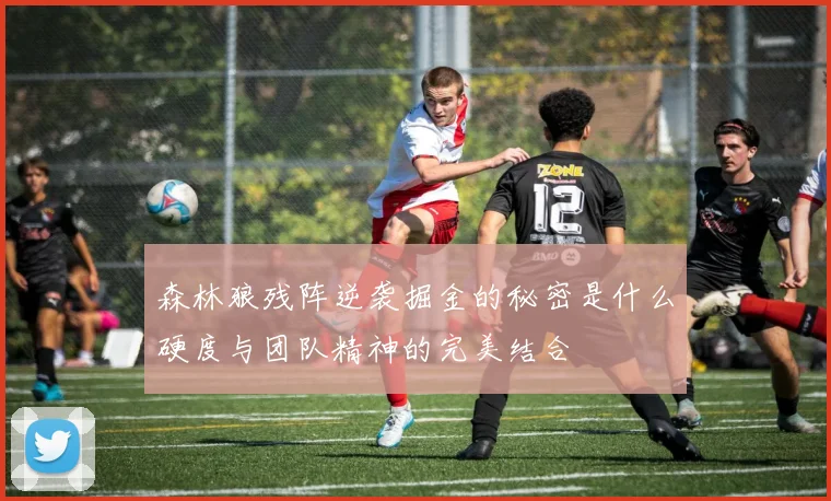 森林狼残阵逆袭掘金的秘密是什么硬度与团队精神的完美结合