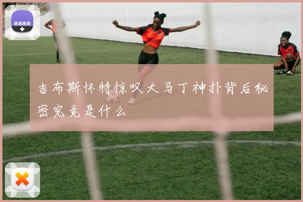 吉布斯怀特惊叹大马丁神扑背后秘密究竟是什么