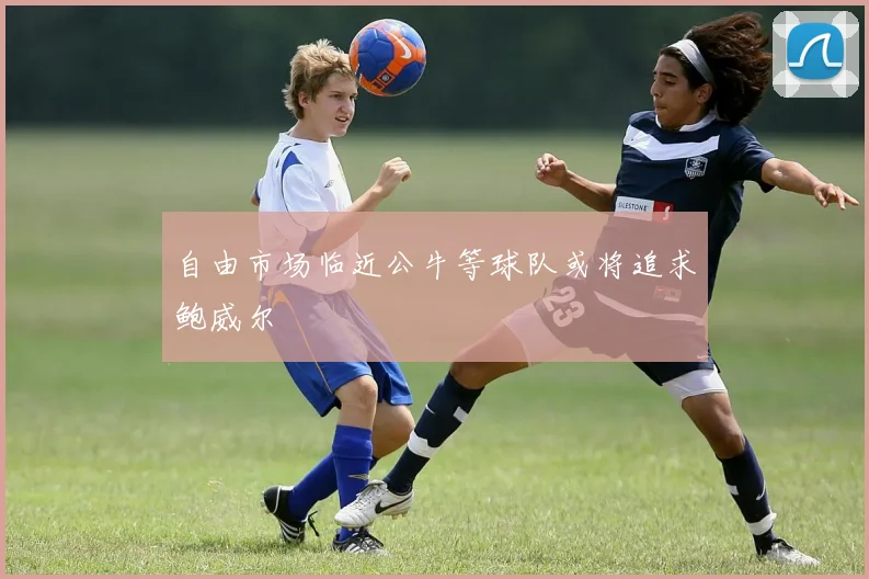自由市场临近公牛等球队或将追求鲍威尔