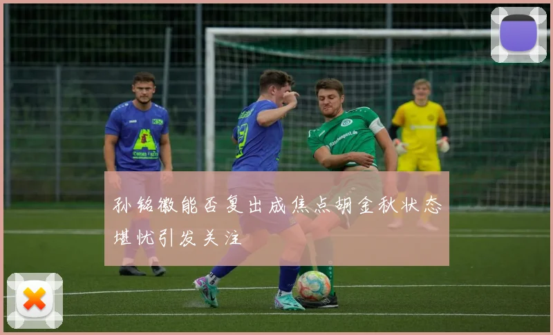 孙铭徽能否复出成焦点胡金秋状态堪忧引发关注